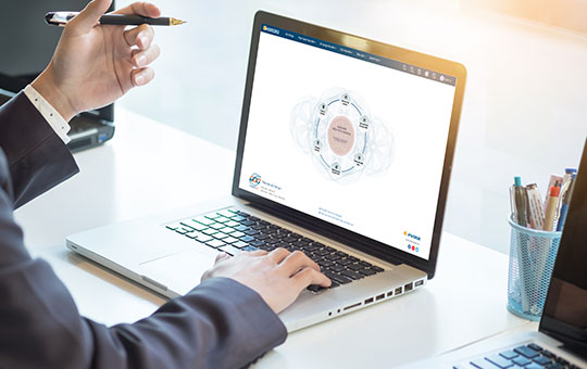 Phiên bản Online